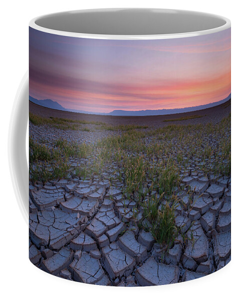 Landscape Coffee Mug featuring the photograph Sunrise on the Playa by Andrew Kumler