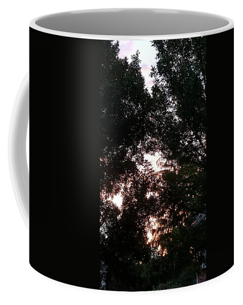 Sunshine Coffee Mug featuring the photograph Sunrise Or Sunset by Rob Hans