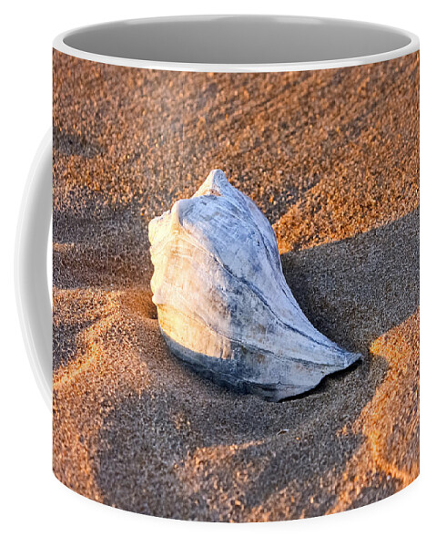 Shells Coffee Mug featuring the photograph Sunrise Seashell by Allan Levin
