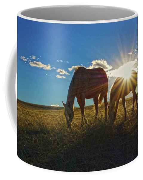 Horses Coffee Mug featuring the photograph Sunrise Splendor by Amanda Smith