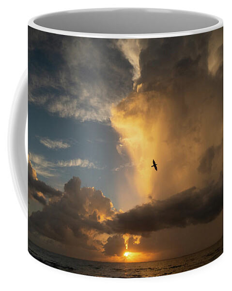 Florida Coffee Mug featuring the photograph Sunrise Thunderstorm Bird Delray Beach Florida by Lawrence S Richardson Jr
