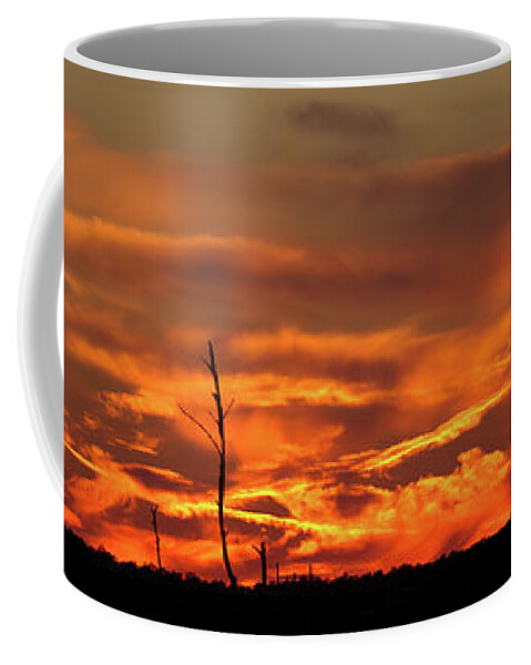 Sunset Coffee Mug featuring the photograph Sunset at Blackwater National Wildlife Refuge by Jack Nevitt
