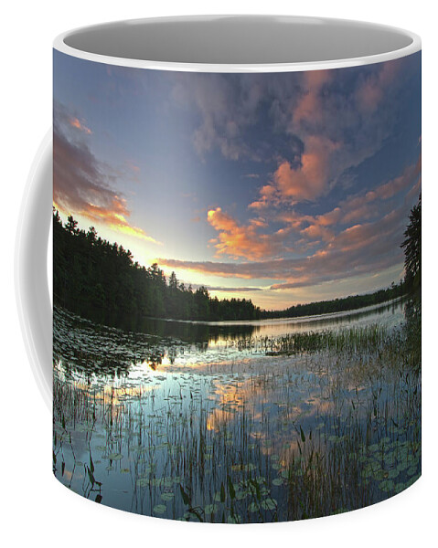 Somes Pond Coffee Mug featuring the photograph Sunset at Somes Pond by Juergen Roth