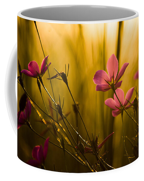 Flower Coffee Mug featuring the photograph Sunset Beauties by Parker Cunningham