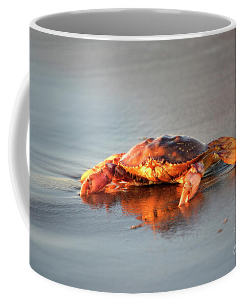 Denise Bruchman Coffee Mug featuring the photograph Sunset Crab by Denise Bruchman