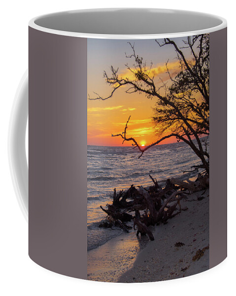 Sunset Coffee Mug featuring the photograph Sunset Cradled by a Tree on Barefoot Beach Florida by Artful Imagery