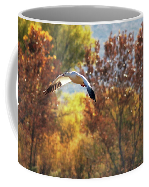 Snow Gooses Coffee Mug featuring the photograph Sunset Flight by Leda Robertson