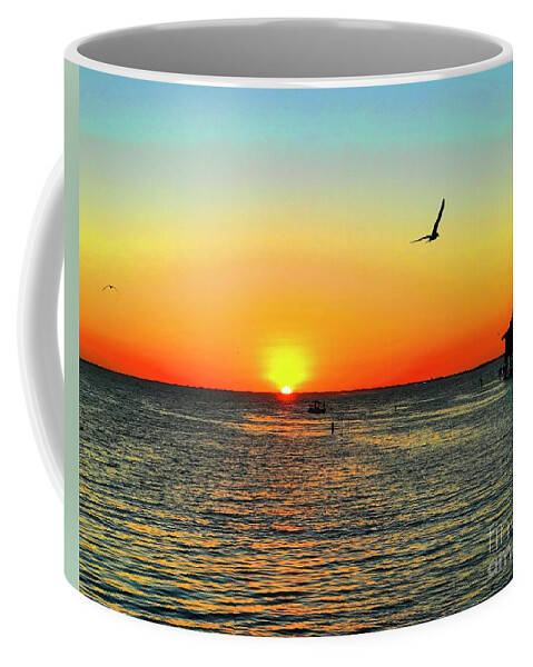 Sunset Coffee Mug featuring the photograph Sunset in Tampa by Debbi Granruth