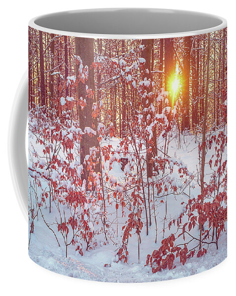 Jenny Rainbow Fine Art Photography Coffee Mug featuring the photograph Sunset in Winter Forest by Jenny Rainbow