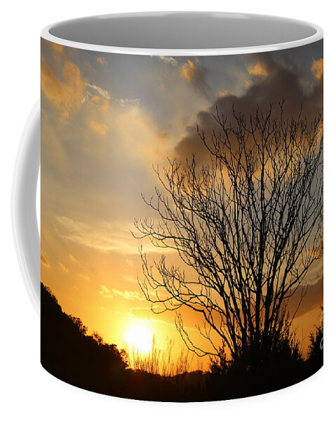 Landscape Coffee Mug featuring the photograph Sunset by Jeff Downs
