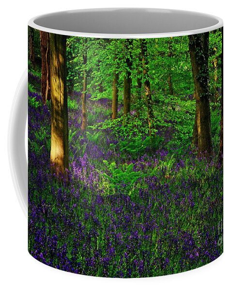 Bluebells Coffee Mug featuring the photograph Sunset on Bluebells in Spring by Martyn Arnold