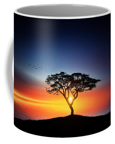 Sunlight Coffee Mug featuring the photograph Sunset on the tree by Bess Hamiti