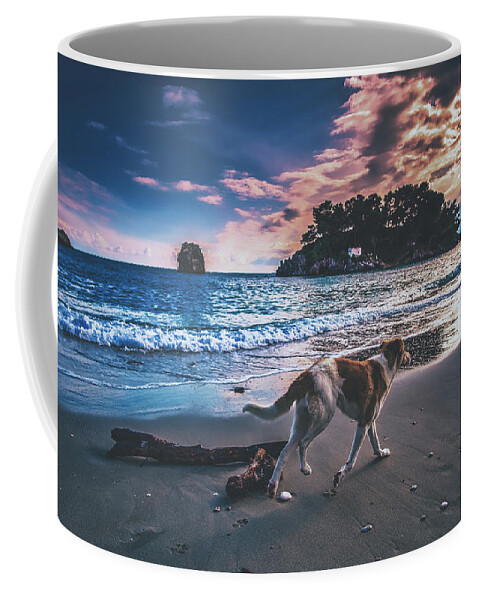 Dog Coffee Mug featuring the photograph Sunset Stroll by Mountain Dreams