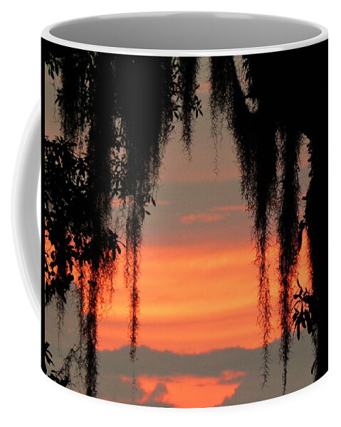 Sunset Coffee Mug featuring the photograph Sunset Through The Moss by Jan Gelders