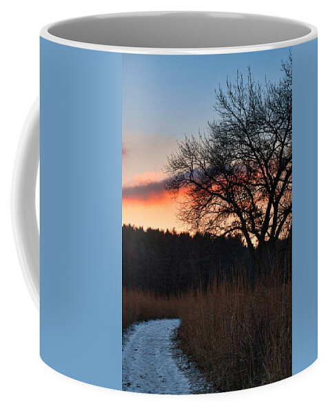 Madison Coffee Mug featuring the photograph Sunset - UW Arboretum - Madison - Wisconsin by Steven Ralser