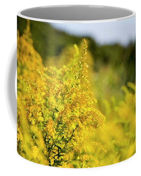 Sunshine Coffee Mug featuring the photograph Sunshine by David Stasiak