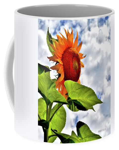 Sunflowers Coffee Mug featuring the photograph Sunshine on a Cloudy Day by Susie Loechler