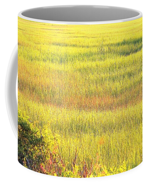 Marsh Coffee Mug featuring the photograph Sunshine Palette On The Marsh by Jan Gelders