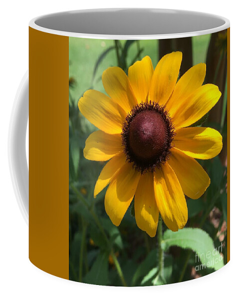 Sunflower Coffee Mug featuring the photograph Sunshine by Pamela Henry