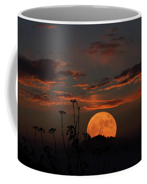 Moon Coffee Mug featuring the photograph Super Moon and Silhouettes by John Haldane