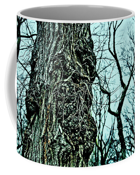 Tree Coffee Mug featuring the photograph Super Tree by Sandy Moulder