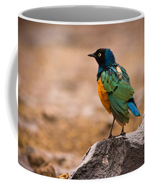 3scape Photos Coffee Mug featuring the photograph Superb Starling by Adam Romanowicz
