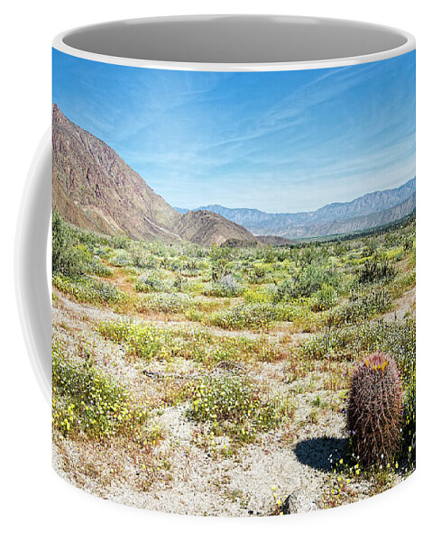 Anza Borrego Coffee Mug featuring the photograph Super Bloom by Baywest Imaging