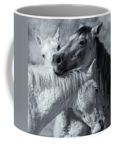 Wild Horses Coffee Mug featuring the photograph Surrounded by Love BW by Belinda Greb
