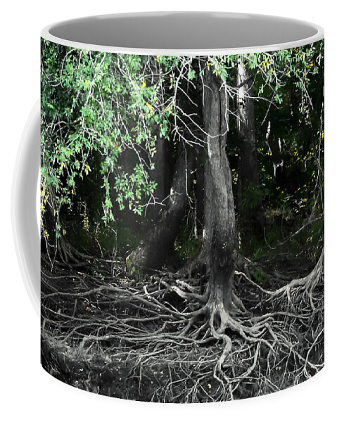 Debra Forand Coffee Mug featuring the photograph Survival of The Fittest by Debra Forand