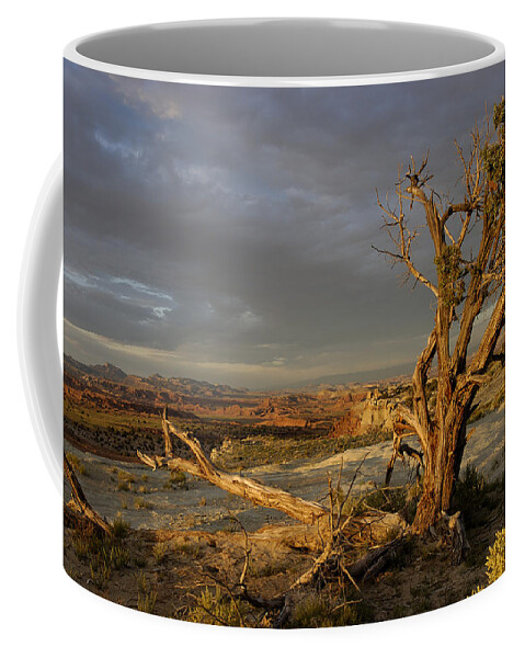Landscape Coffee Mug featuring the photograph Survivor by DArcy Evans