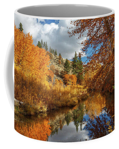 Landscape Coffee Mug featuring the photograph Susan River Reflections by James Eddy