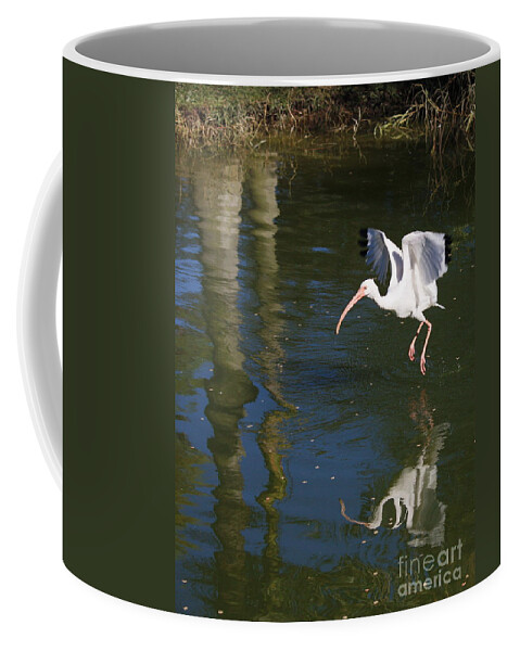 Flight Coffee Mug featuring the photograph Suspended in Flight by Carol Groenen