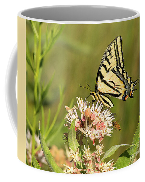 Insect Coffee Mug featuring the photograph Swallowtail and Bee Feeding by Dennis Hammer