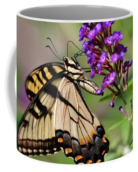 Swallowtail Butterflies Coffee Mug featuring the photograph Swallowtail Butterfly by Jill Lang