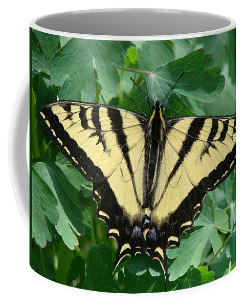 Swallowtail Coffee Mug featuring the photograph Swallowtail butterfly by Liz Vernand