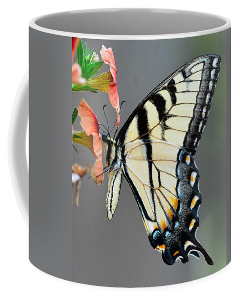 Swallowtail Coffee Mug featuring the photograph Swallowtail Orange Flower by William Jobes