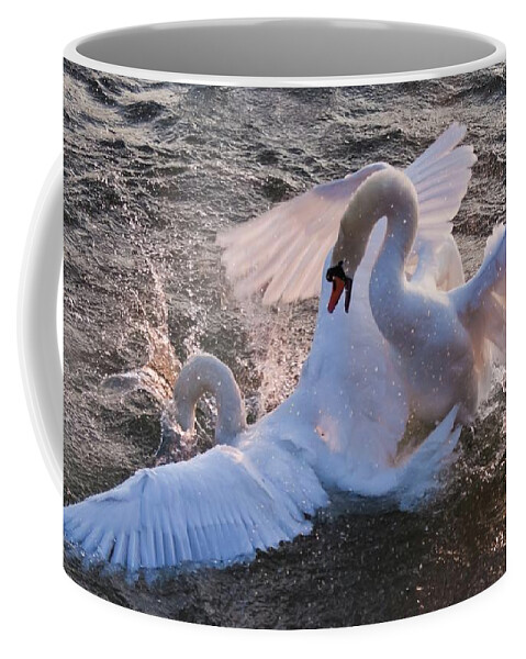 Swans Coffee Mug featuring the photograph Nuptial Dance 3 by Tatiana Travelways