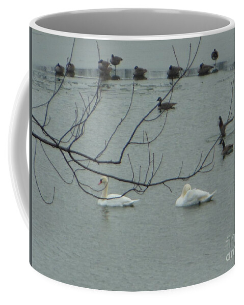 Swans Coffee Mug featuring the photograph Swans with Geese by Rockin Docks Deluxephotos