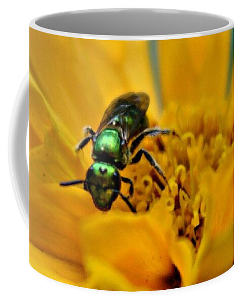 Bee Coffee Mug featuring the photograph Sweat Bee by Dani McEvoy