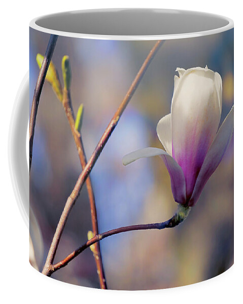Magnolia Coffee Mug featuring the photograph Sweet Magnolia by John Rivera