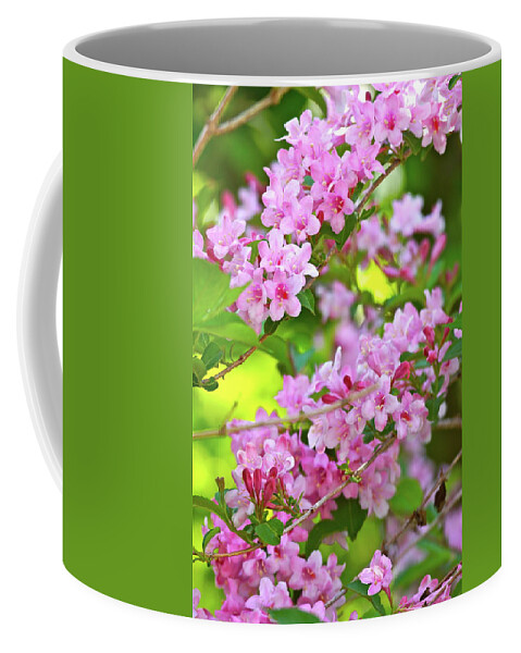 Springtime Coffee Mug featuring the photograph Sweet Nature by Ira Shander