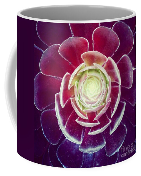 Plant Coffee Mug featuring the photograph Symmetry by Denise Railey