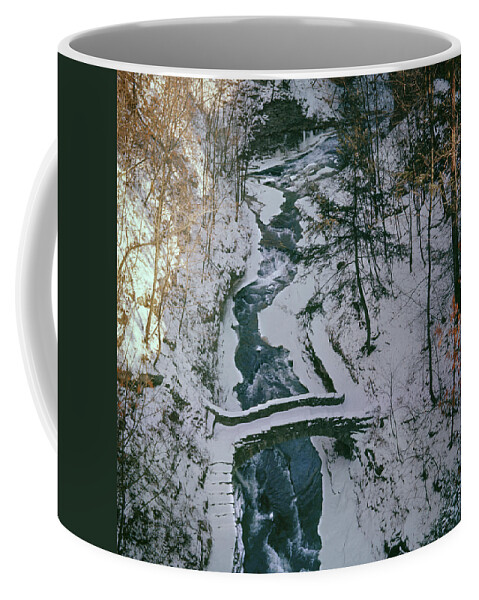 T31501 Coffee Mug featuring the photograph T-31501 Gorge on Cornell University Campus by Ed Cooper Photography