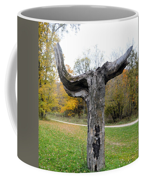 Ia Coffee Mug featuring the photograph T Trunk by Bonfire Photography