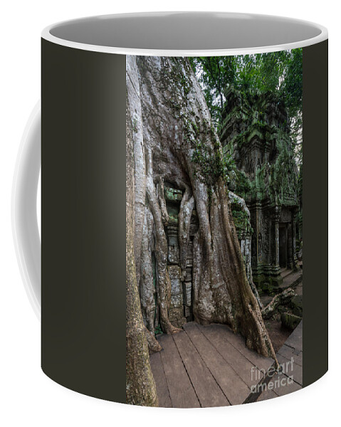 Cambodia Coffee Mug featuring the photograph Ta Prohm The Jungle Reclaims by Mike Reid
