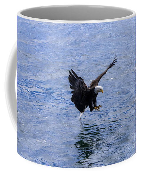 Eagle Coffee Mug featuring the photograph Tail Landing by Louise Magno