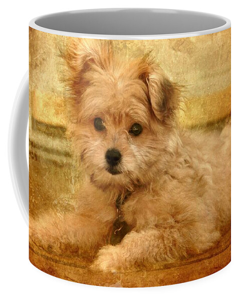 Puppies Coffee Mug featuring the photograph Taking A Break by Angie Tirado