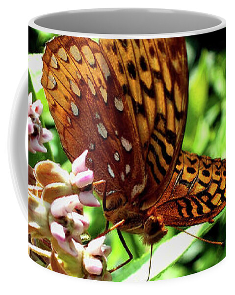 Sip Coffee Mug featuring the photograph Taking a Sip by Kimmary MacLean