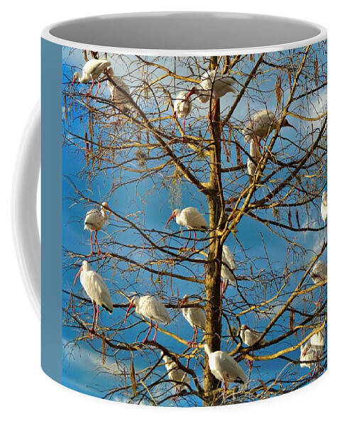 White Ibis Coffee Mug featuring the photograph Dr. Seuss by Carolyn Mickulas