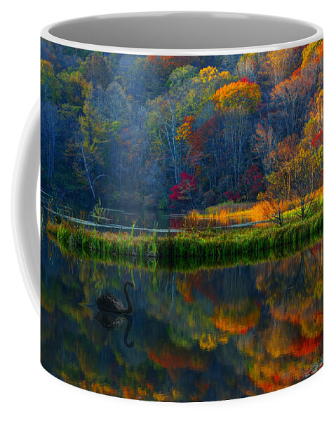 Swan Coffee Mug featuring the photograph Tales of the black Swan by Midori Chan